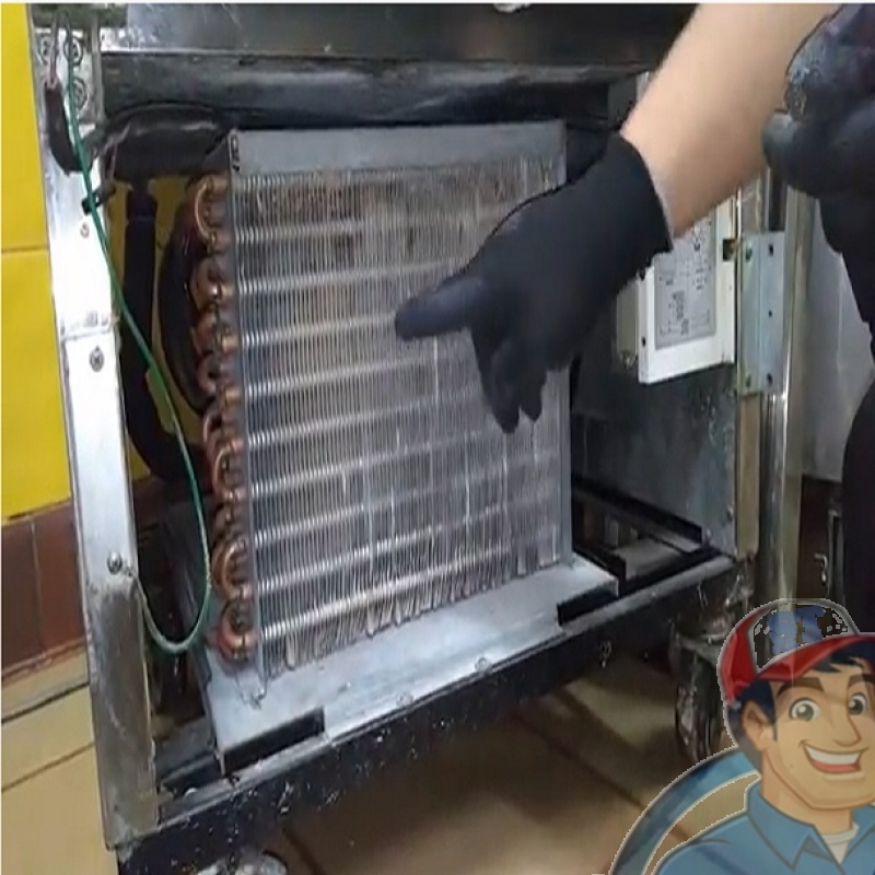 Reparación Profesional de Congeladores